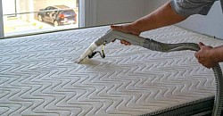 Já imaginou a quantidade de ácaros,bactérias podem estar no seu colchão?